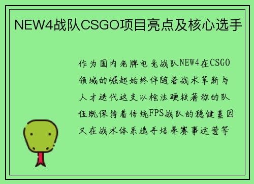 NEW4战队CSGO项目亮点及核心选手